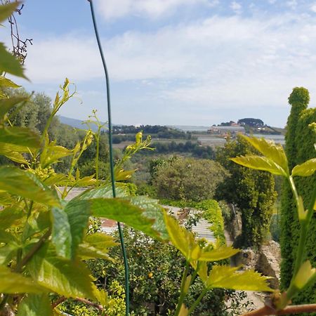 Villa Casa Di Ingrida Bussana Vecchia San Remo Exterior foto