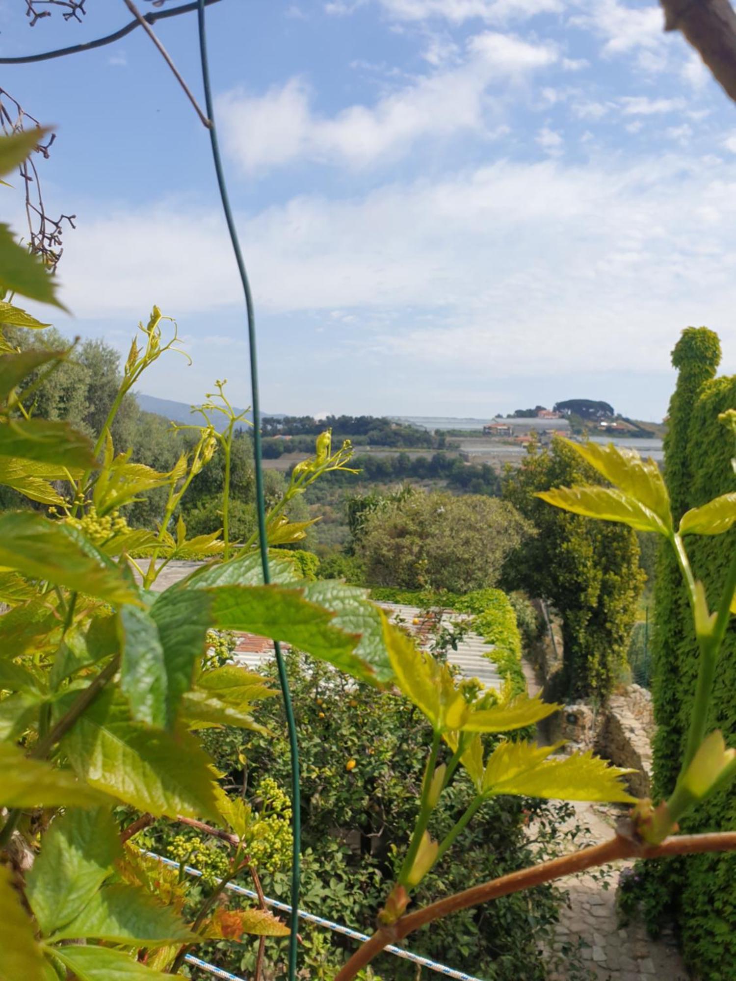 Villa Casa Di Ingrida Bussana Vecchia San Remo Exterior foto